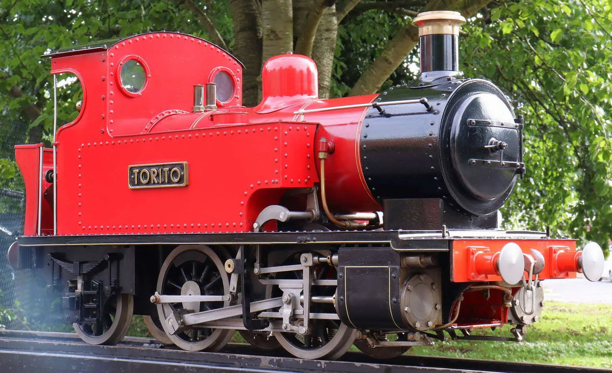 5 inch gauge 0-4-2T