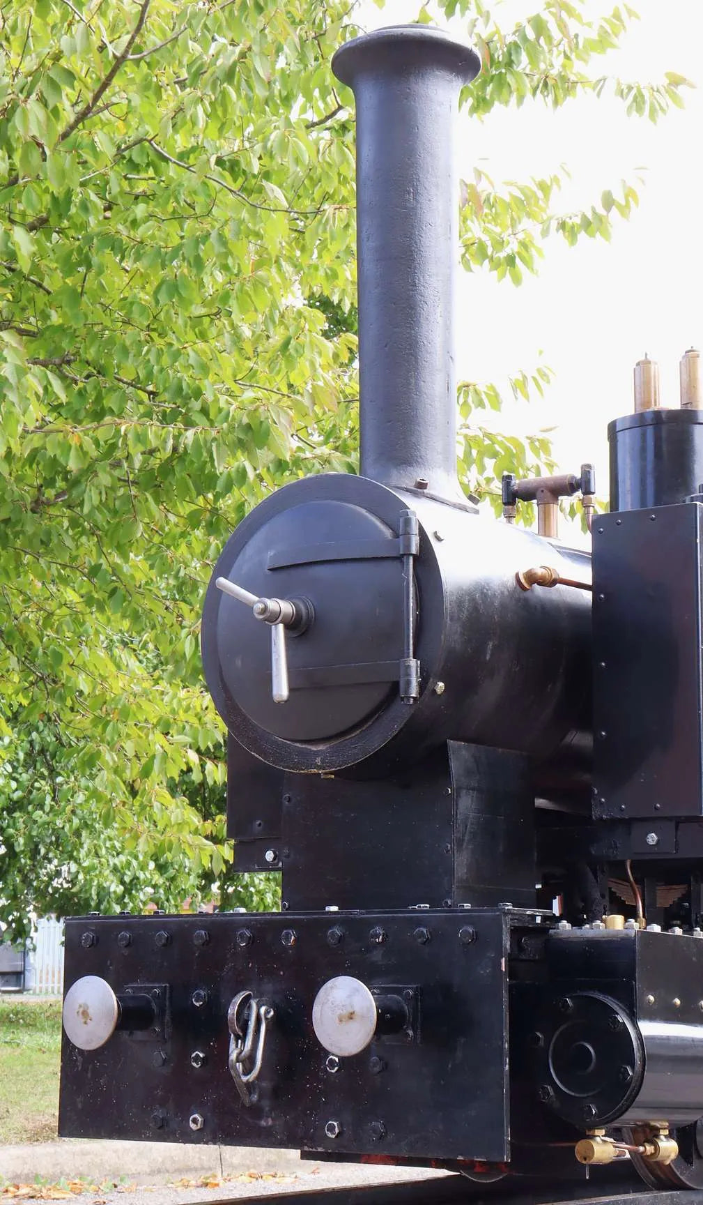 7 1/4 inch narrow gauge "Romulus" 0-4-0T
