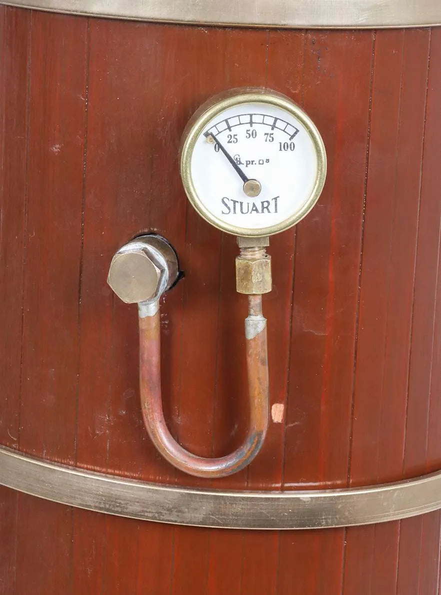 Gas-fired vertical boiler