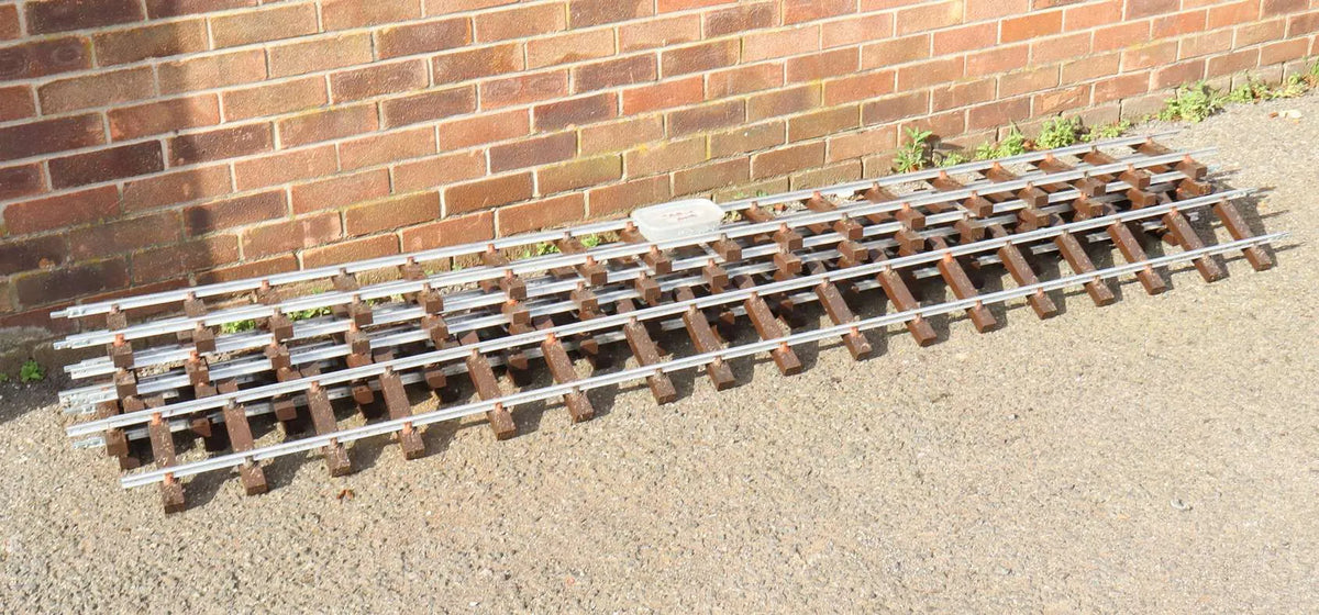 Six panels 5 inch gauge track