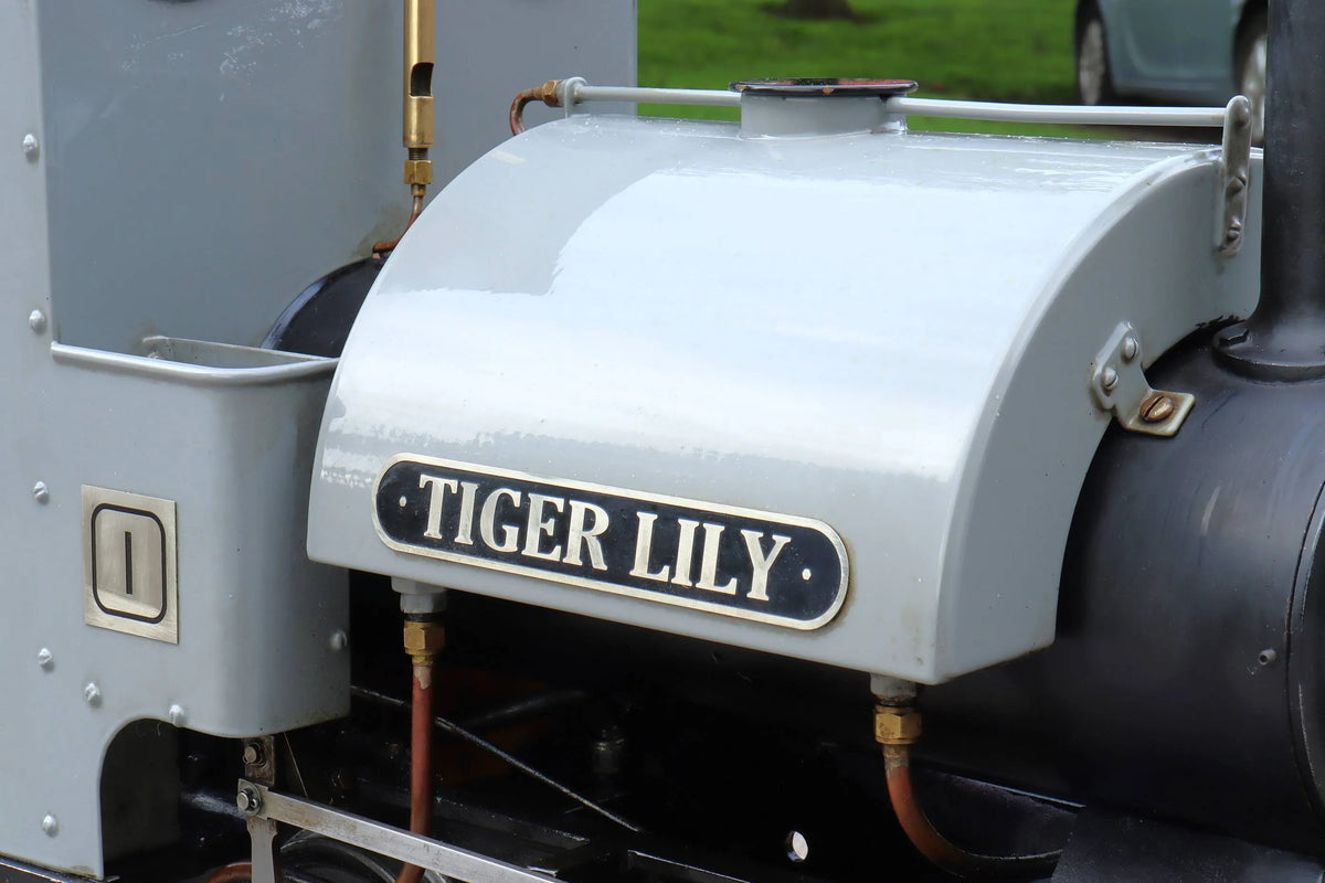 5 inch gauge Maxitrak Sapphire "Tiger Lily"