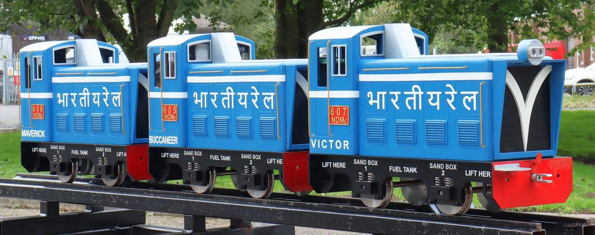 5 inch narrow gauge Darjeeling & Himalayan DMJ-6 shunter set
