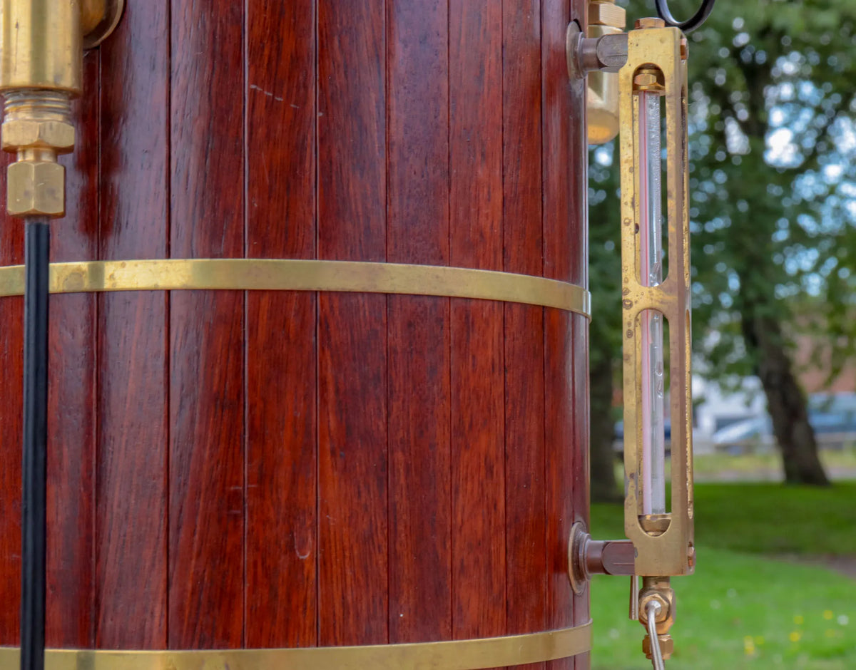 Vertical boiler with water tank
