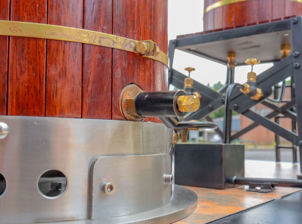 Vertical boiler with water tank