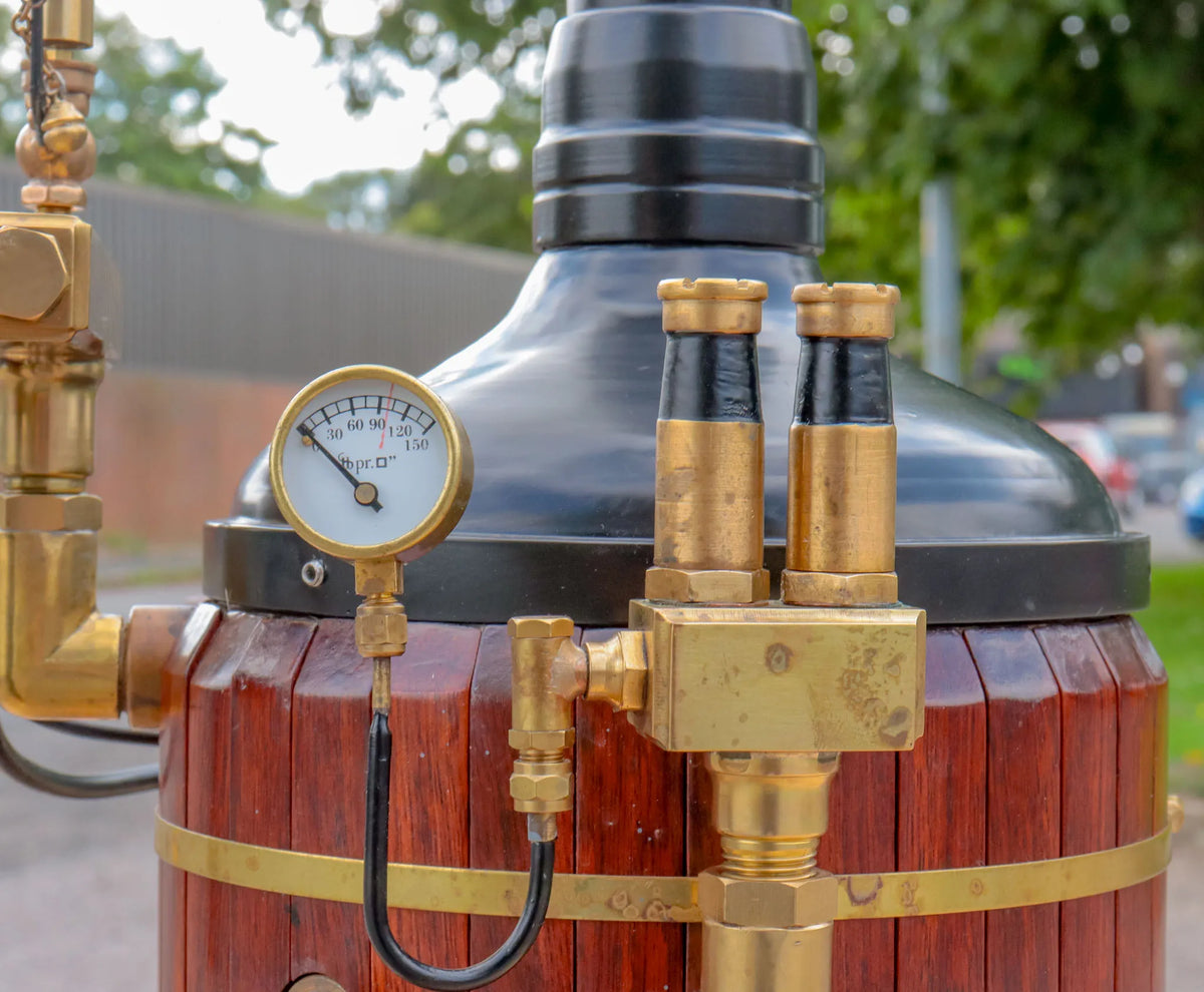 Vertical boiler with water tank