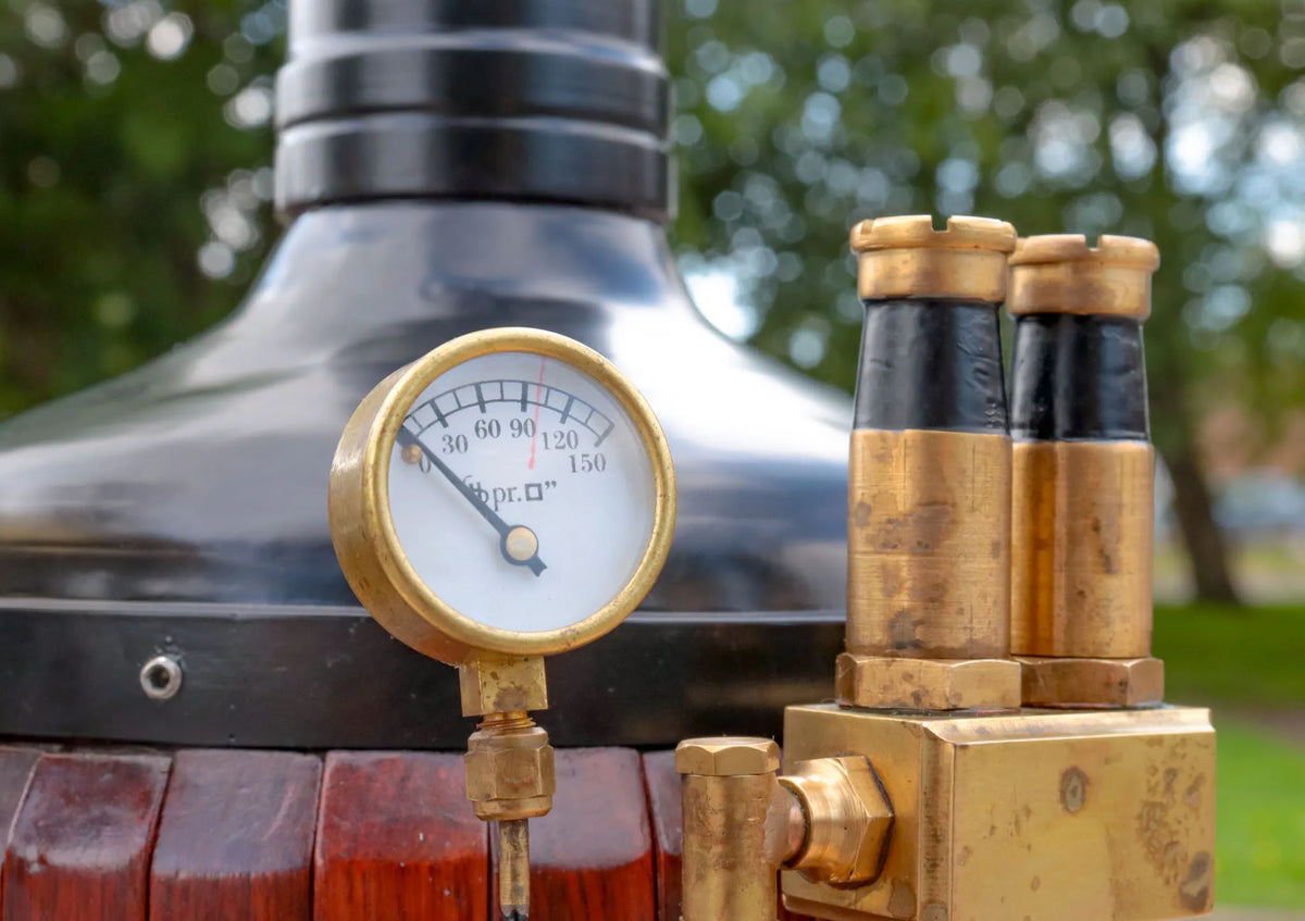 Vertical boiler with water tank