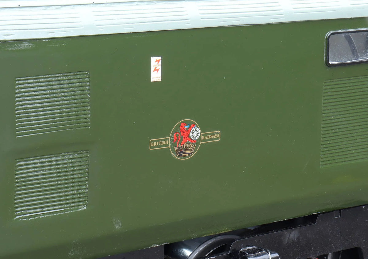 5 inch gauge Class 37 battery electric