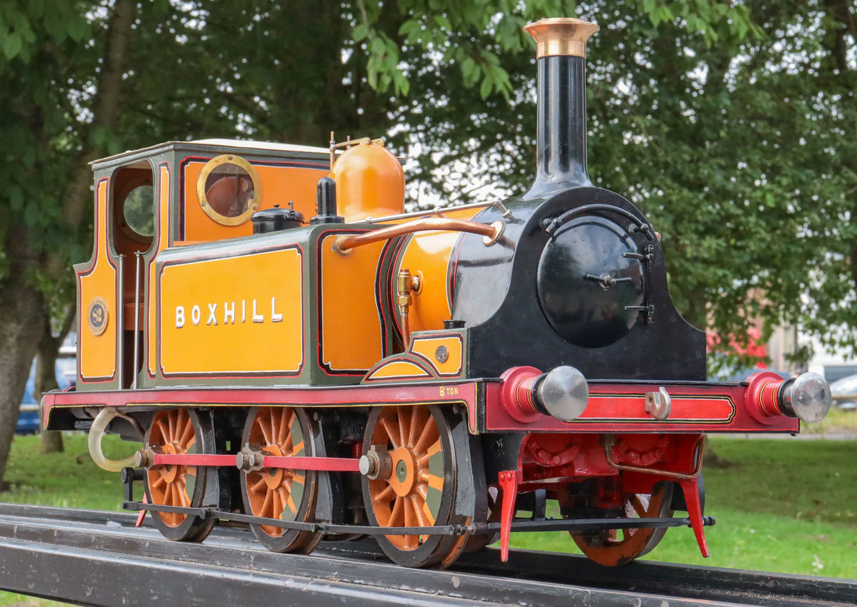 5 inch gauge LB&SCR "Terrier" 0-6-0T
