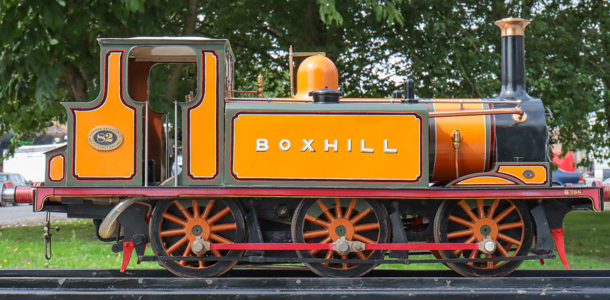 5 inch gauge LB&SCR "Terrier" 0-6-0T