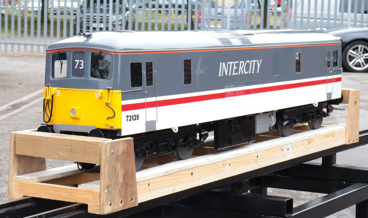 5 inch gauge Class 73 battery electric
