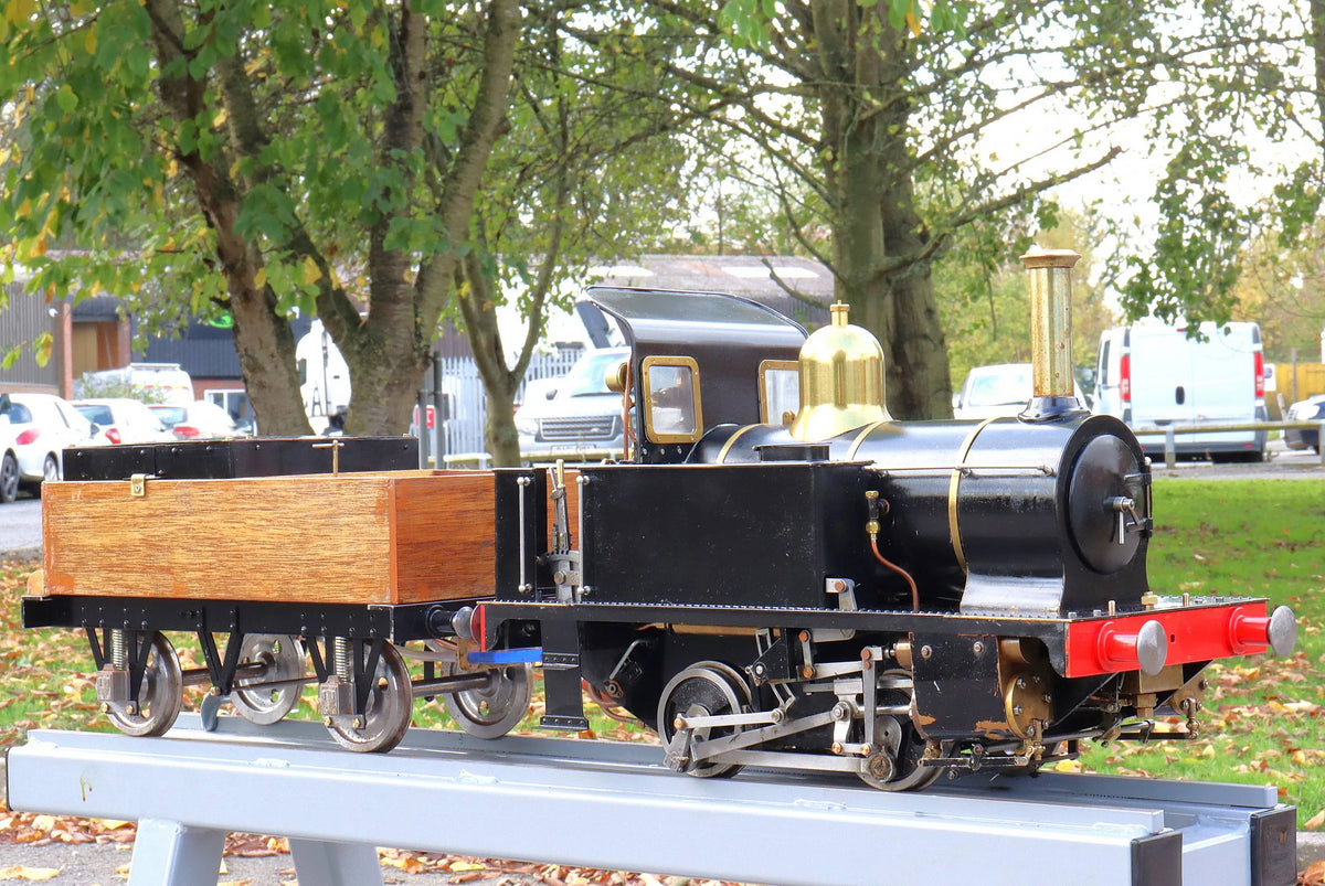 5 inch gauge "Tich" 0-4-0T with tender