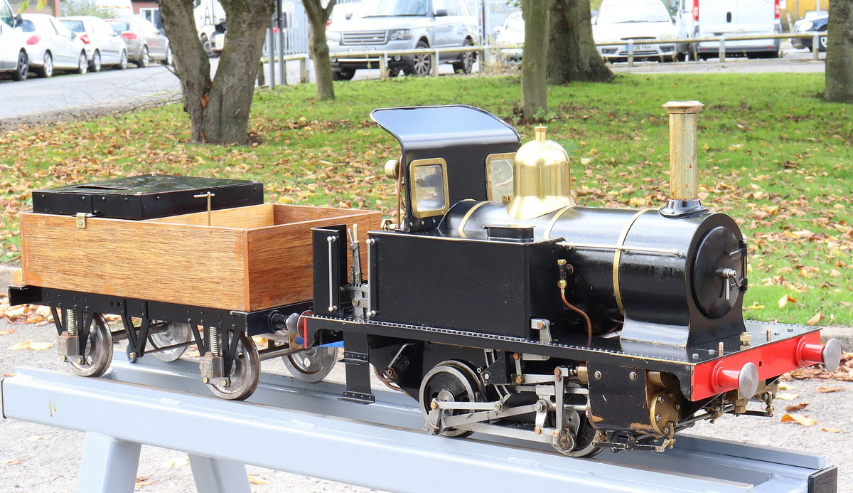 5 inch gauge "Tich" 0-4-0T with tender