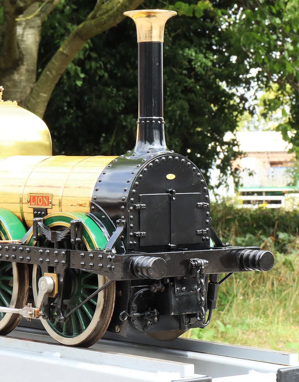 5 inch gauge Lion