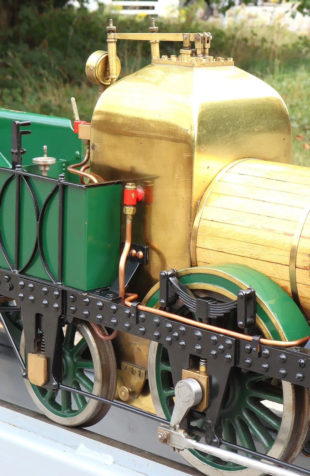 5 inch gauge Lion