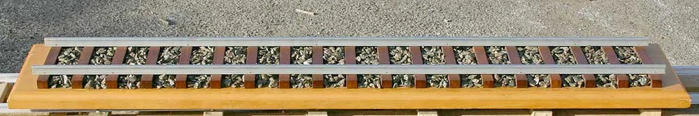 5 inch gauge Polly 2