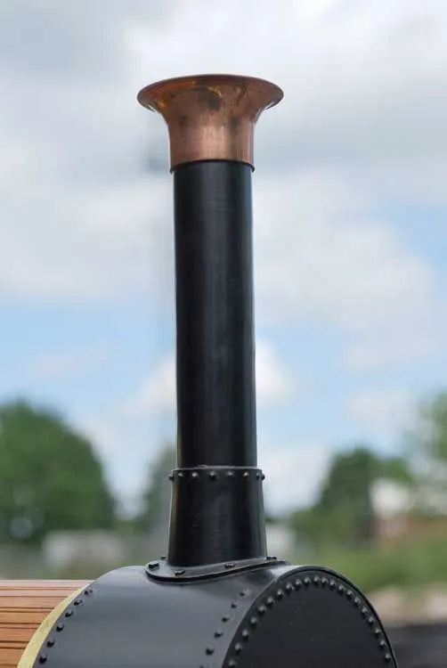 5 inch gauge "Lion"