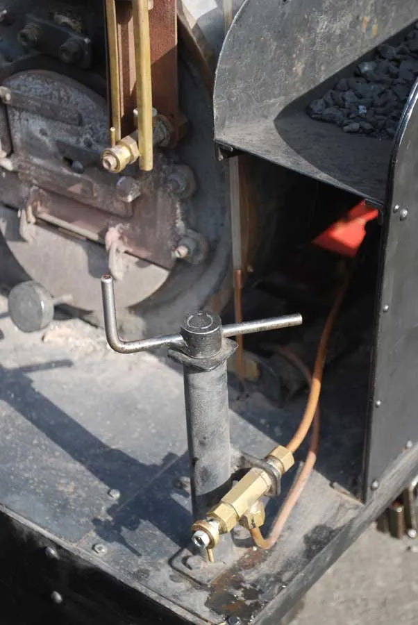 7 1/4 inch gauge freelance Sweet William type