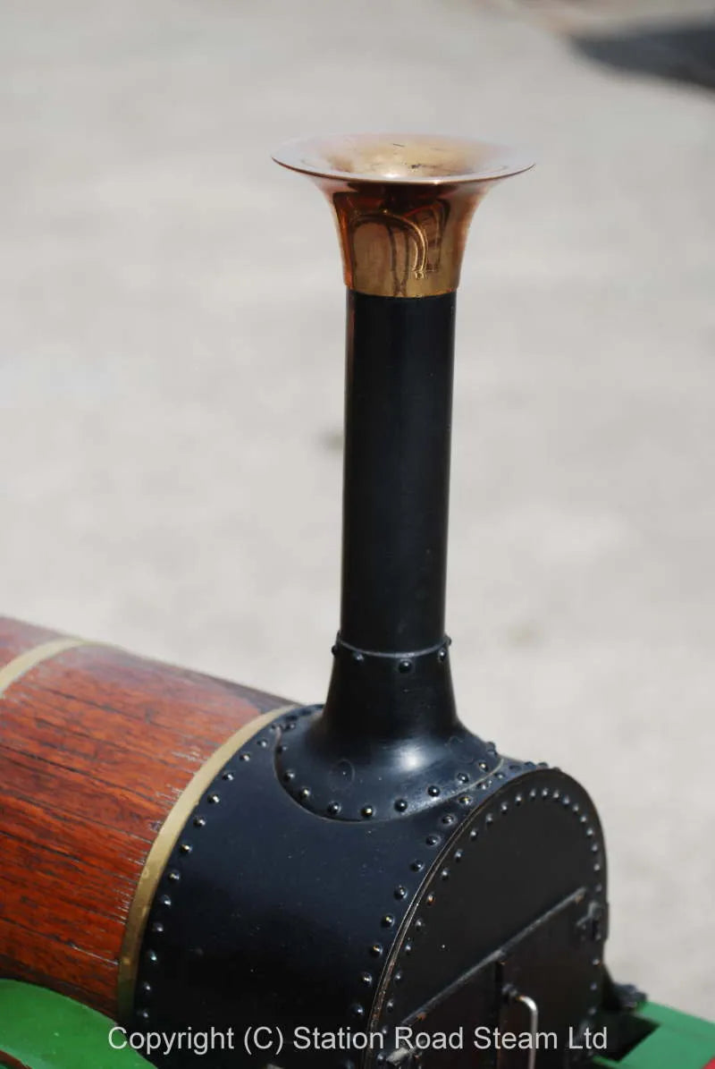 5 inch gauge "Lion"
