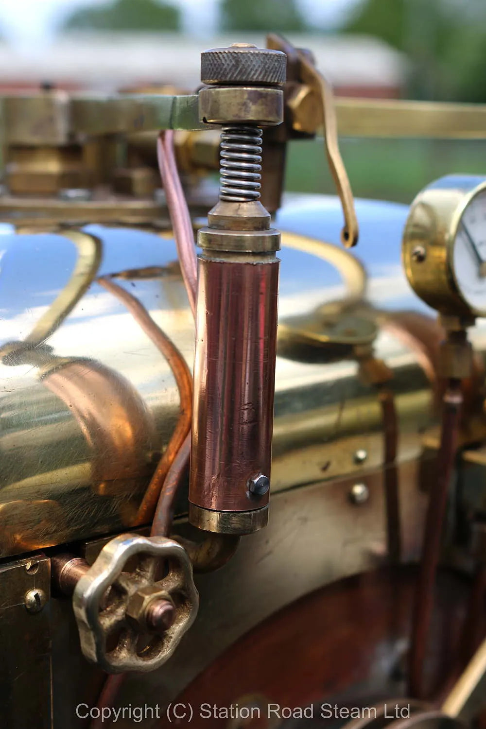 7 1/4 inch gauge "Lion"