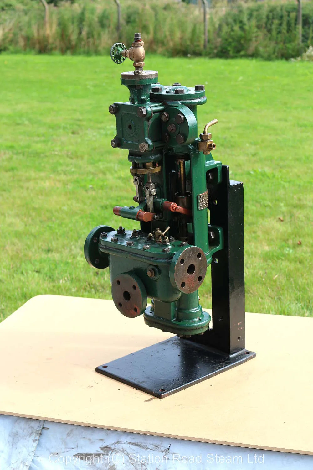 Duplex steam pump on stand