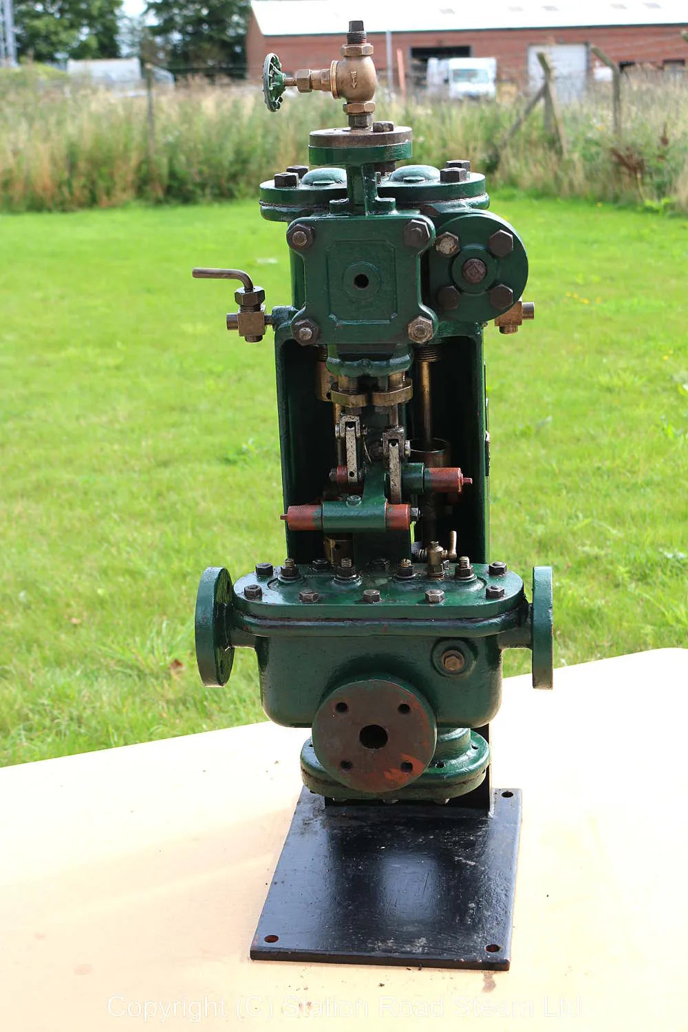 Duplex steam pump on stand
