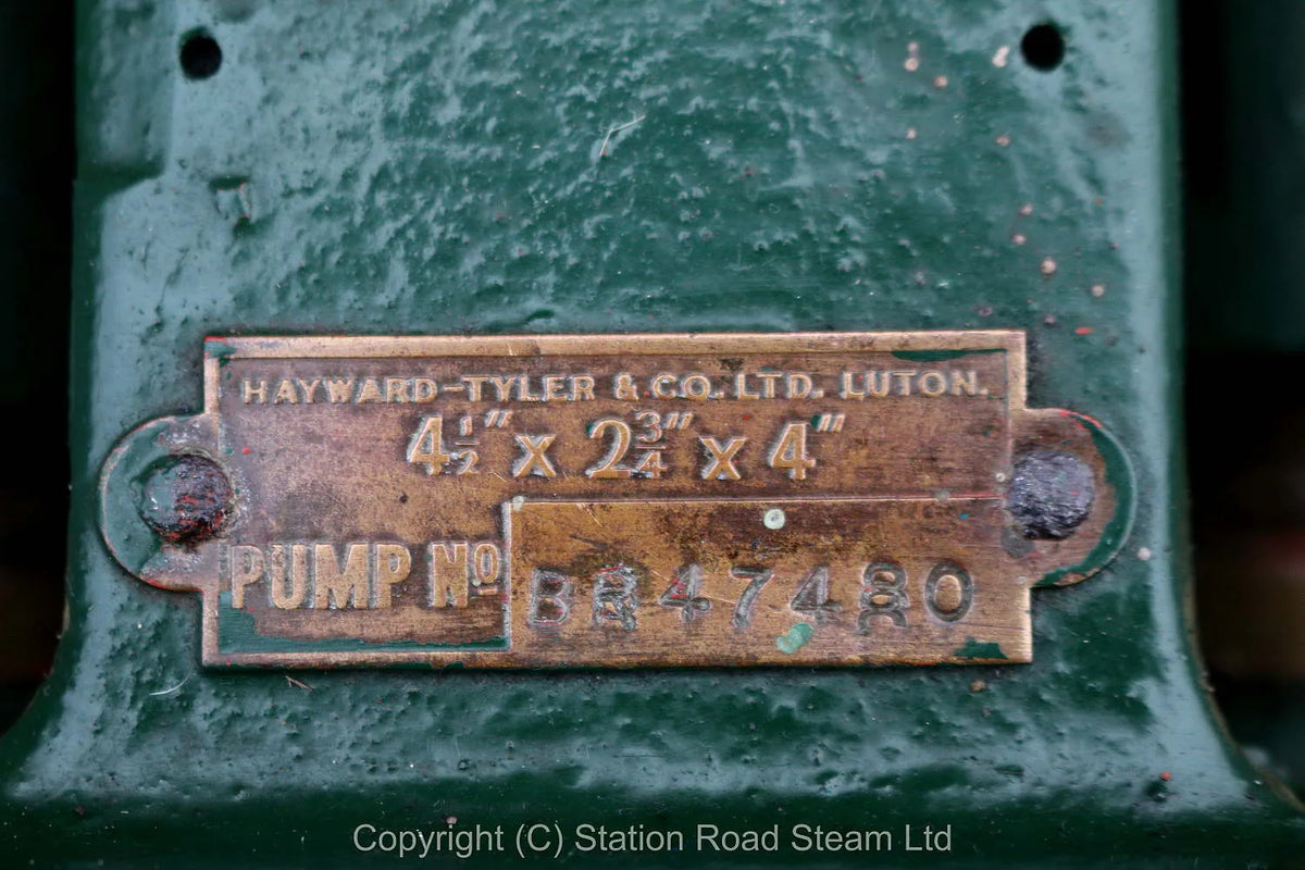 Hayward Tyler duplex steam pump with Manzel lubricator