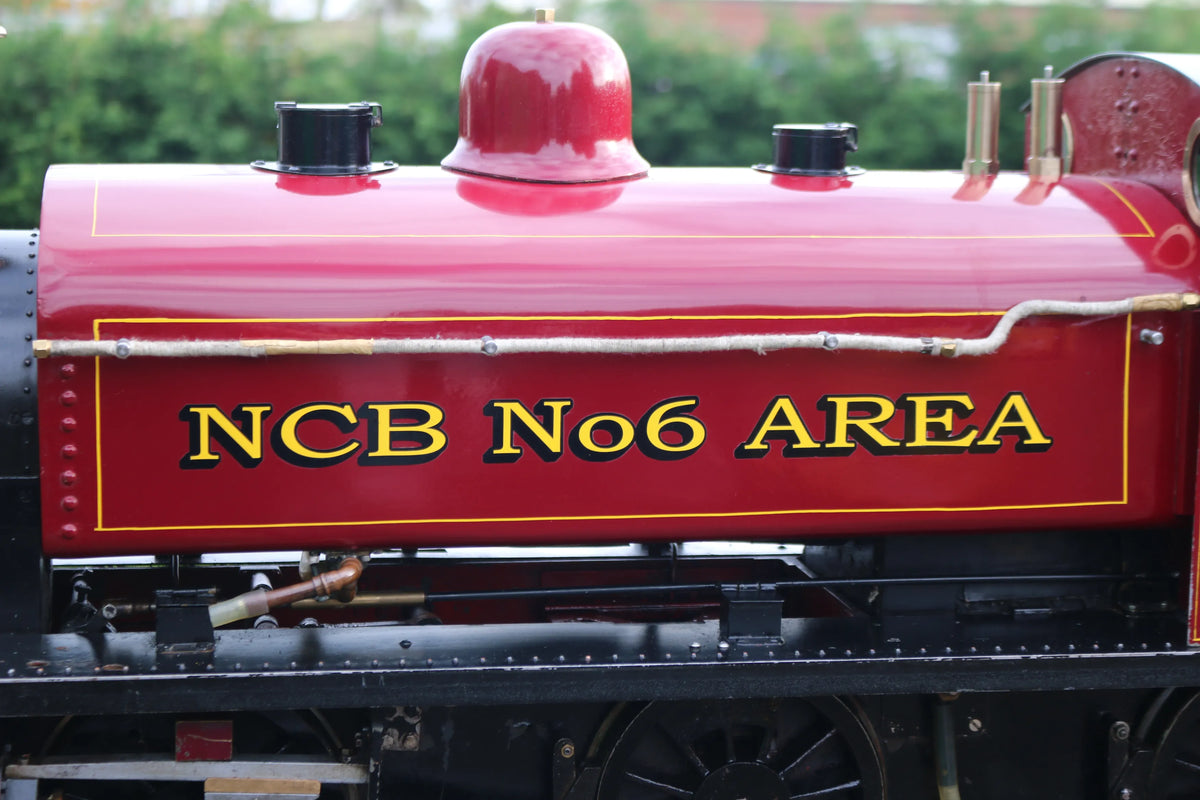 7 1/4 inch gauge "Holmside" 0-6-0T with driving truck