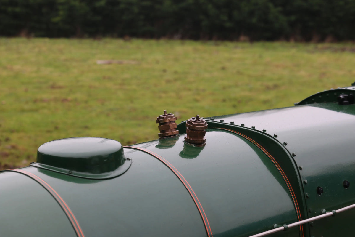 5 inch gauge "Britannia"