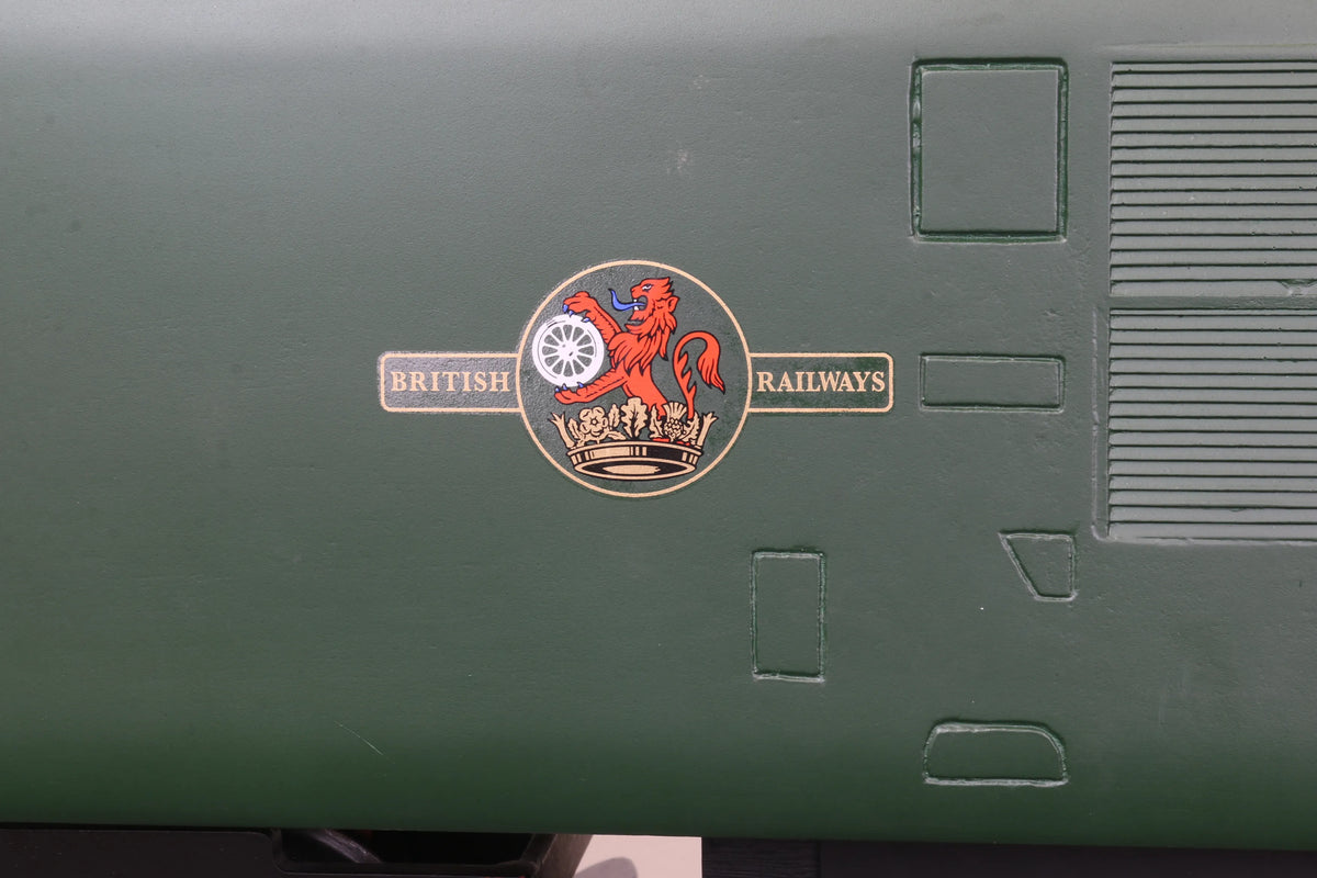 5 inch gauge Class 37 battery electric