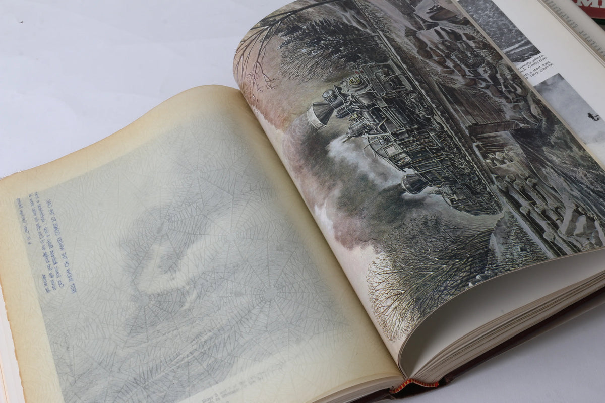 American logging railway books - Shay & Heisler