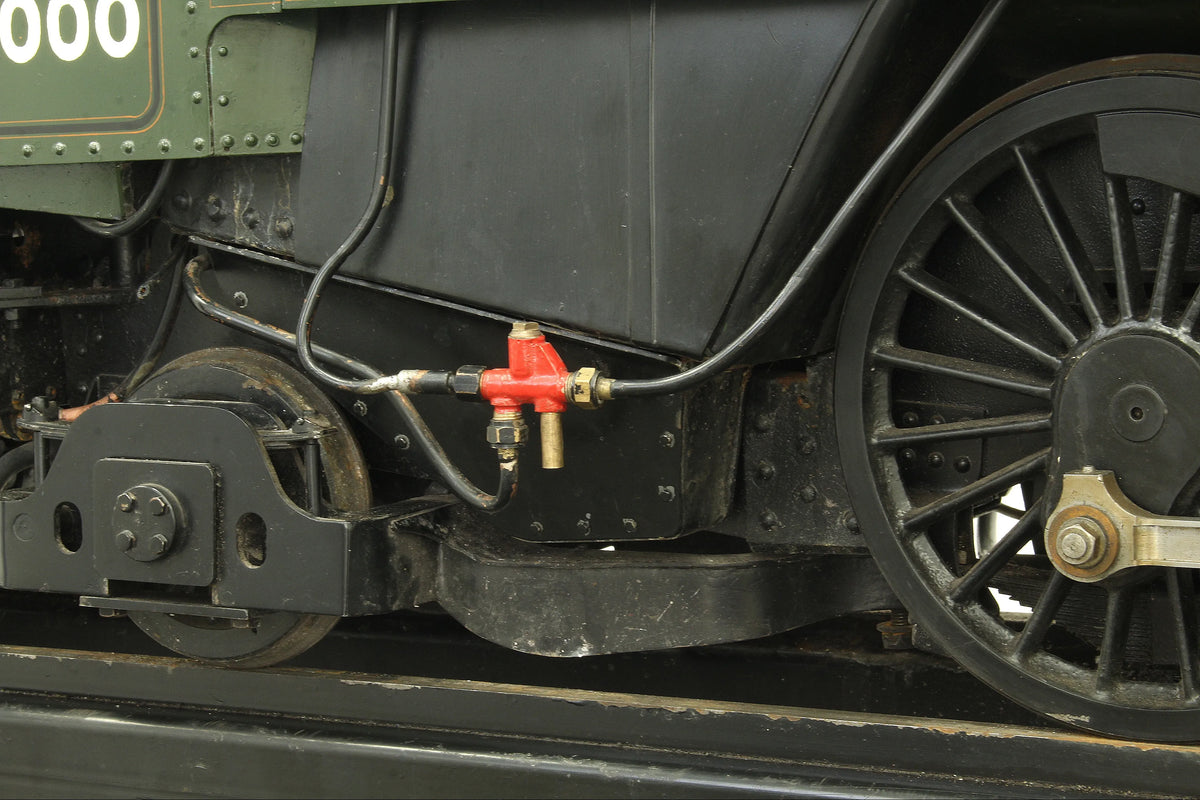 5 inch gauge "Britannia"