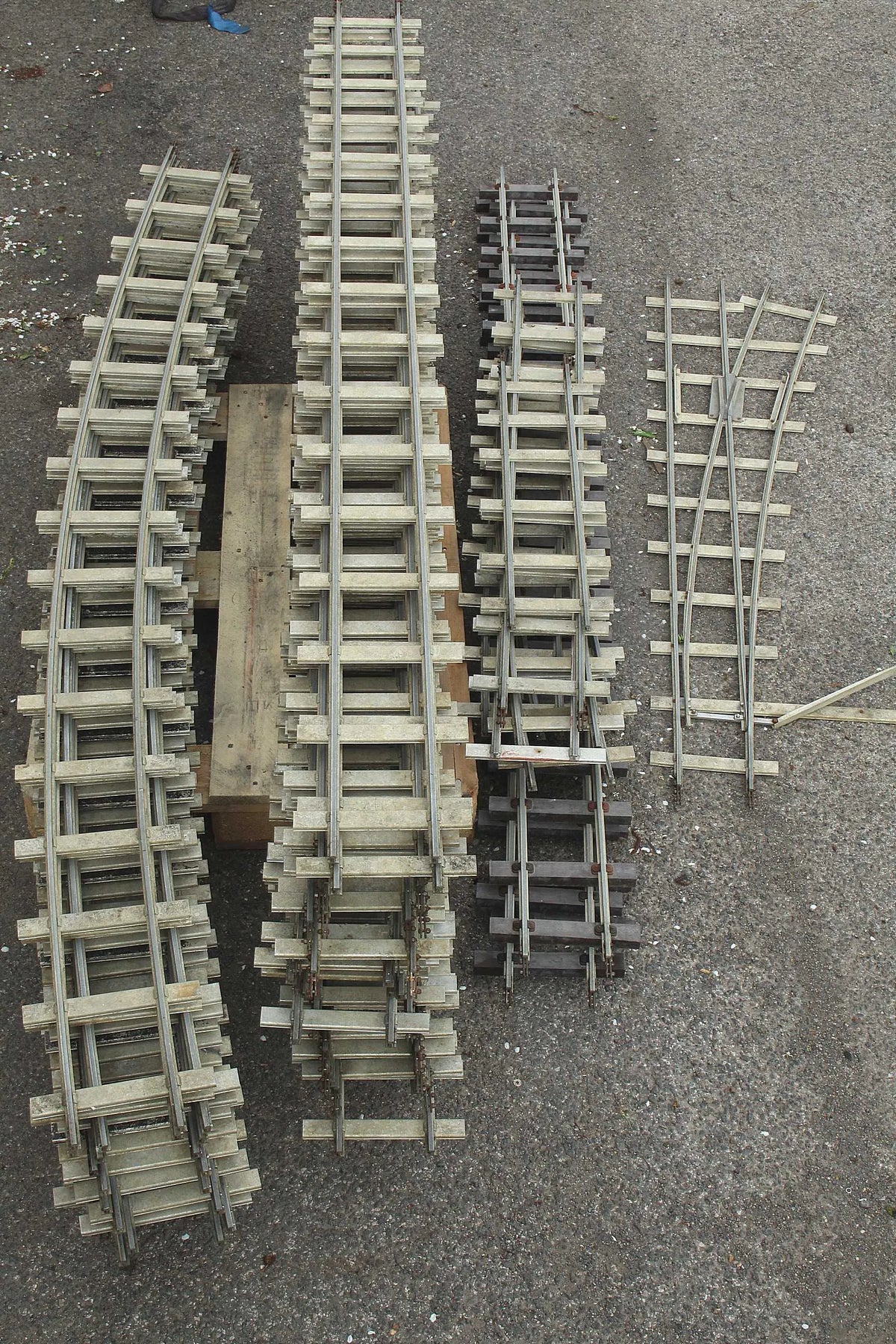 Large oval 5 inch gauge track with siding