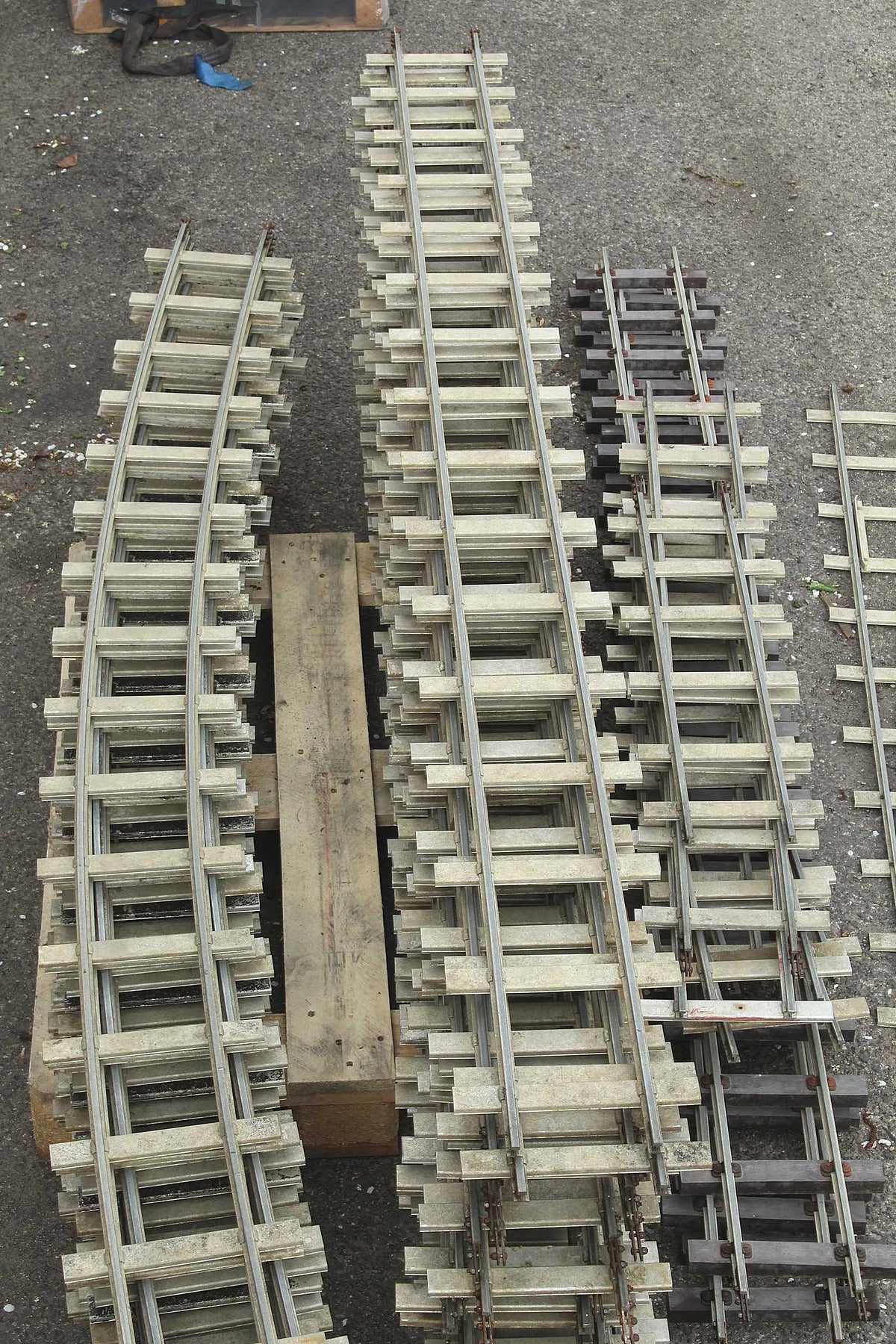Large oval 5 inch gauge track with siding