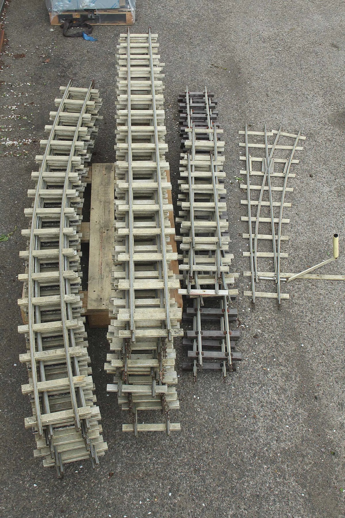 Large oval 5 inch gauge track with siding