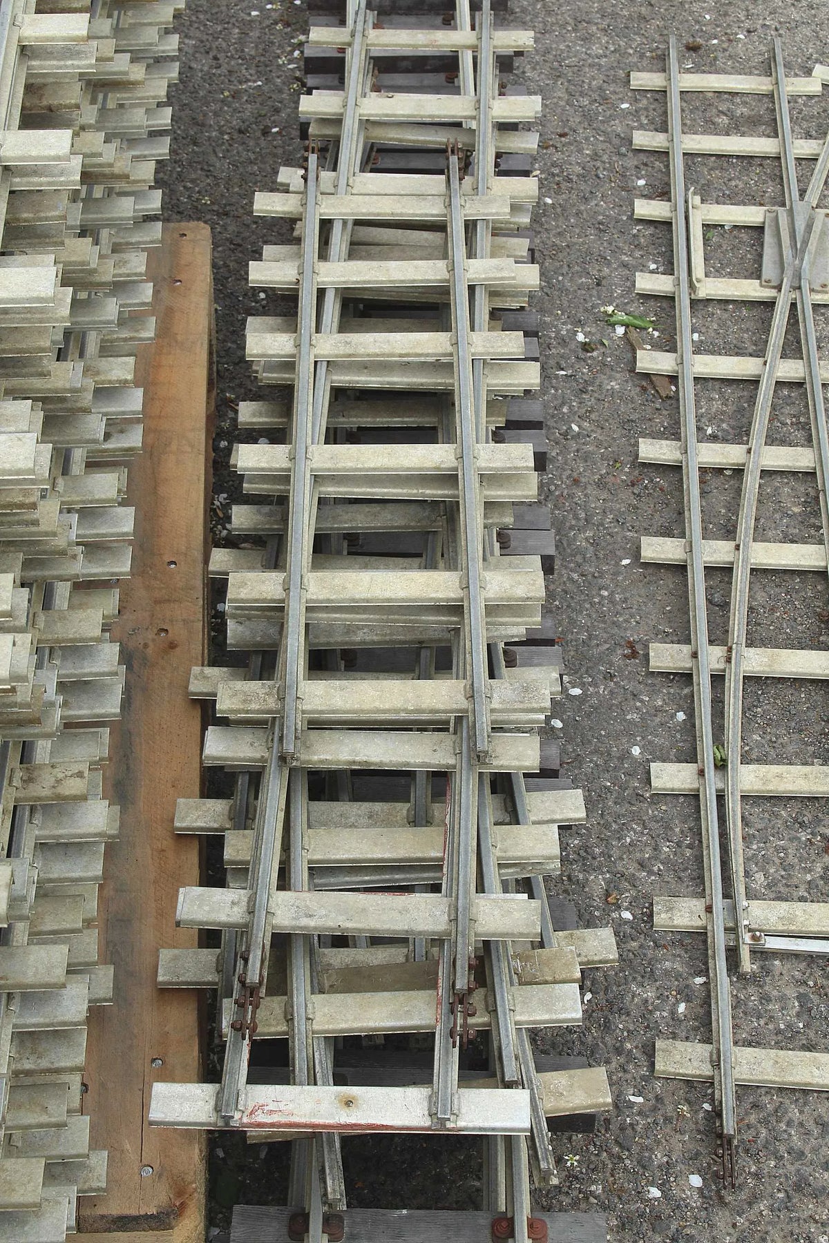 Large oval 5 inch gauge track with siding