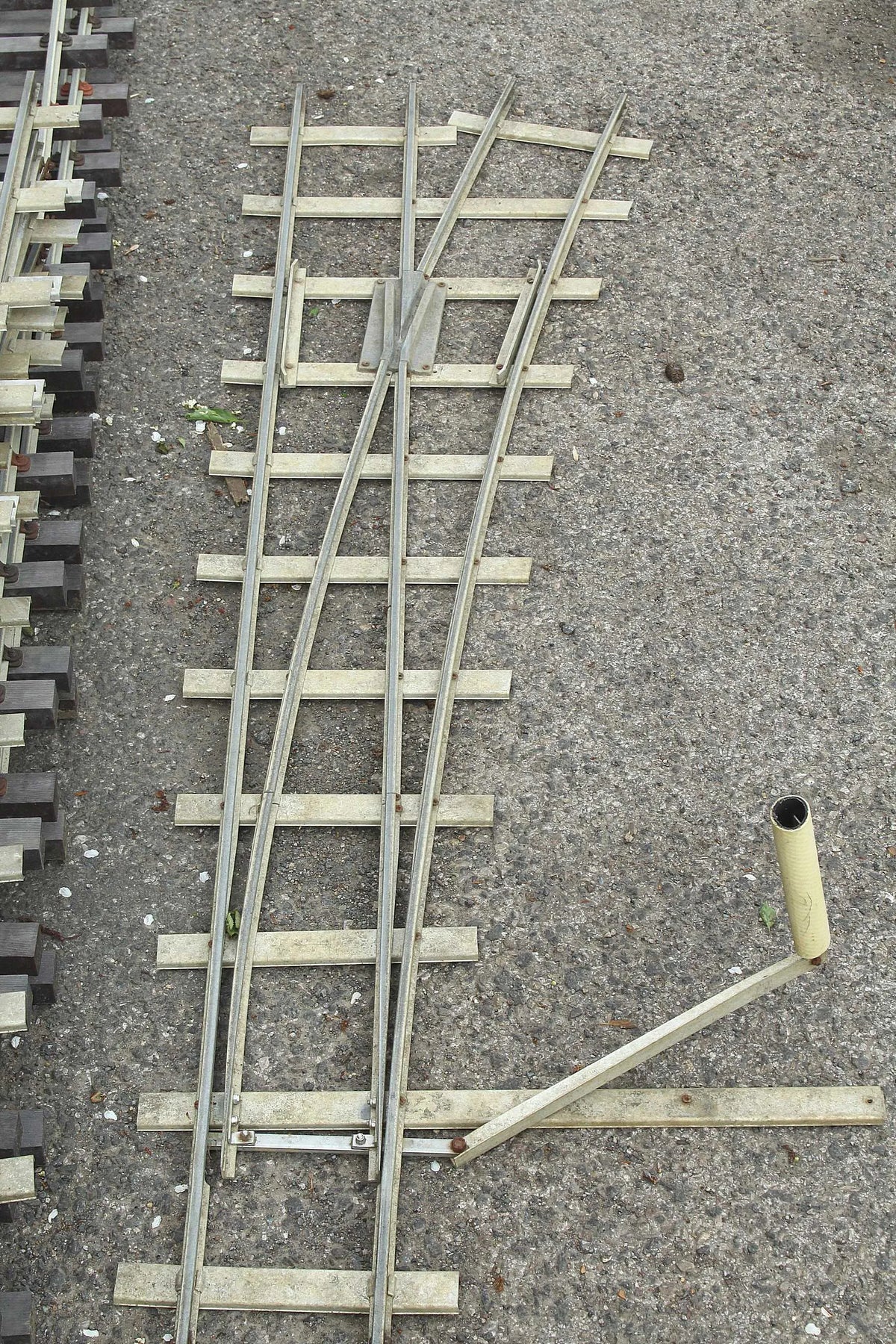 Large oval 5 inch gauge track with siding