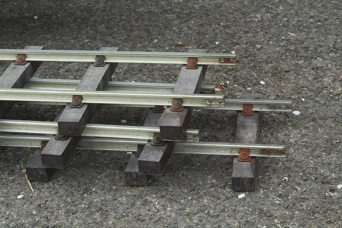 Large oval 5 inch gauge track with siding