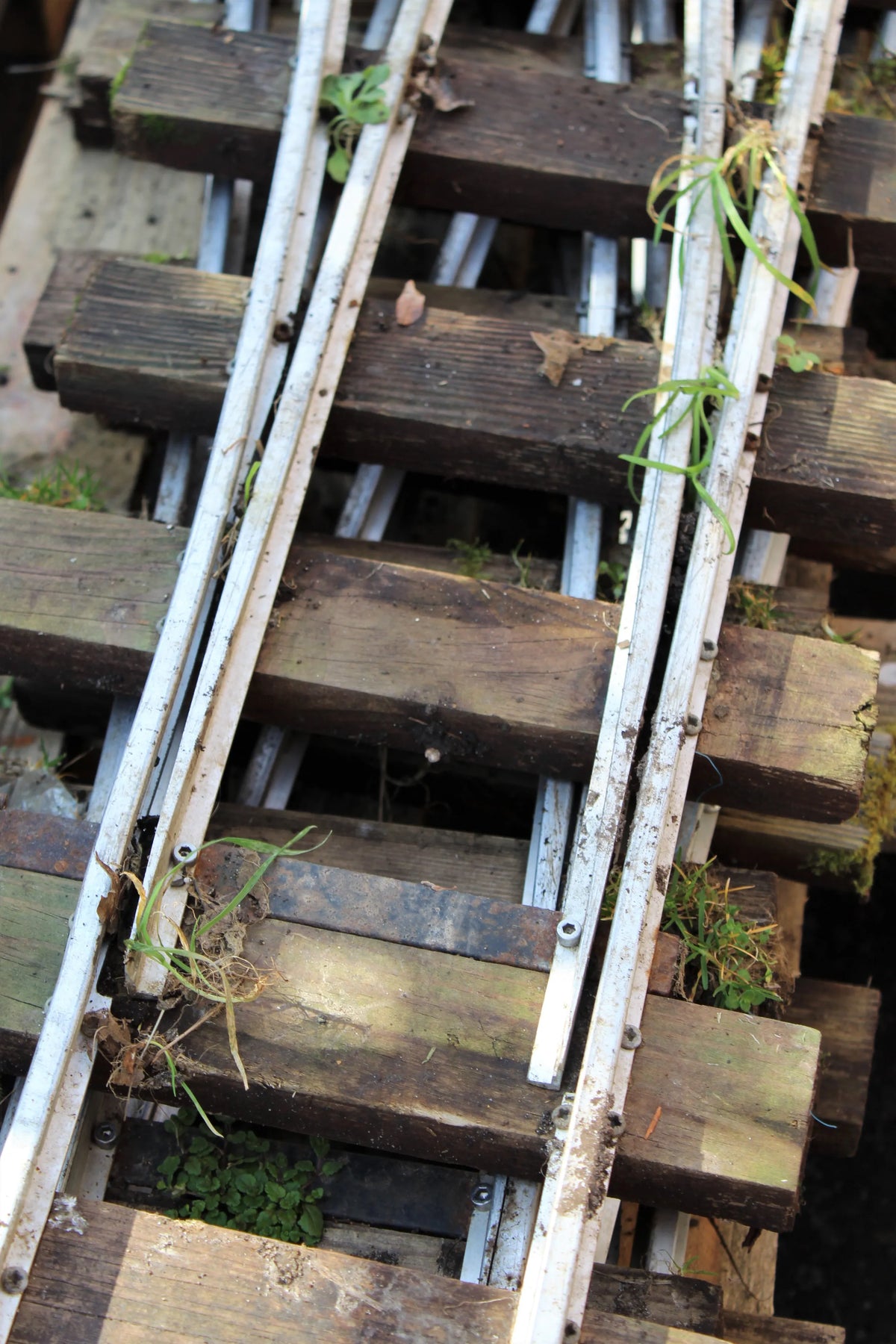 5 inch gauge track with six turnouts