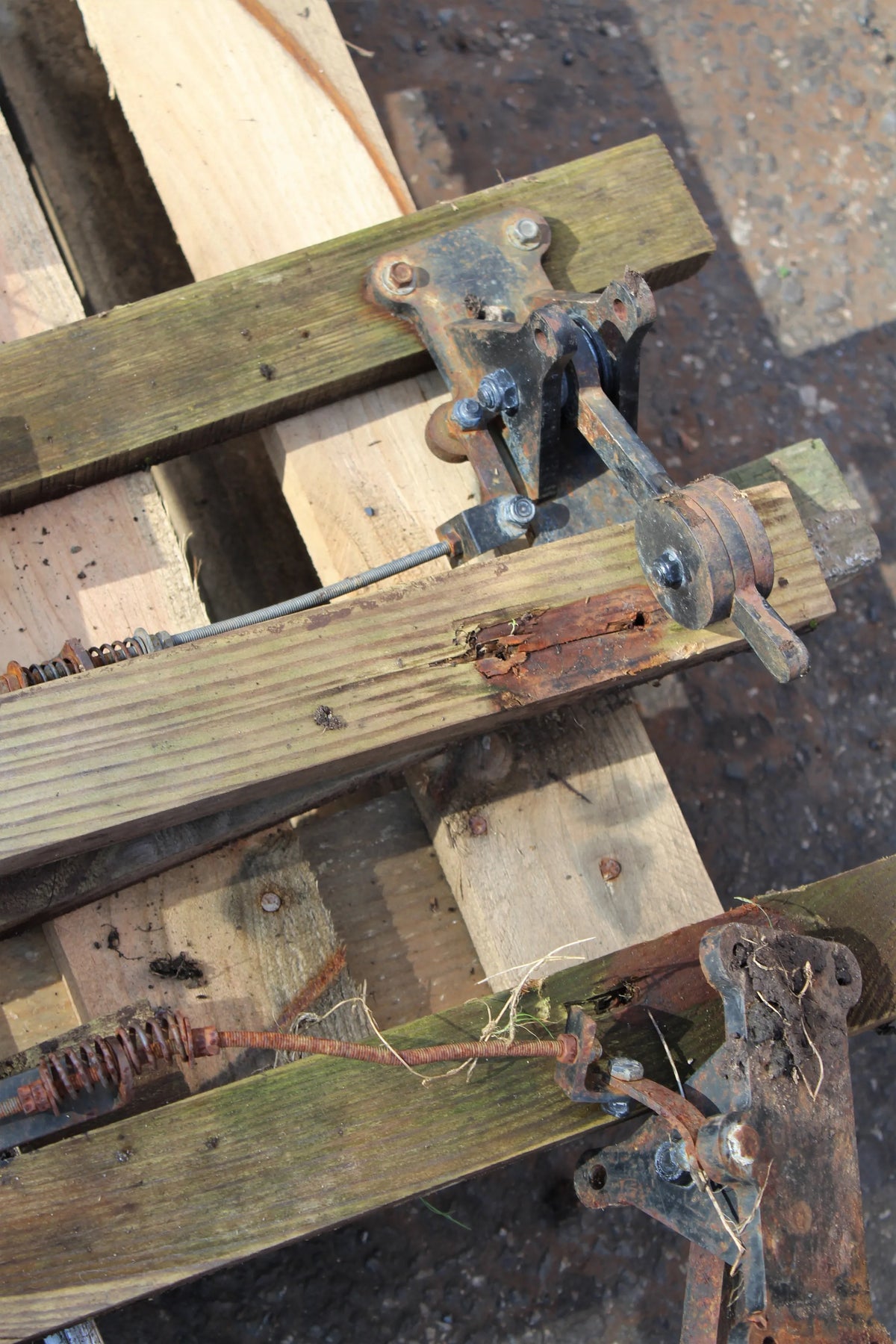5 inch gauge track with six turnouts