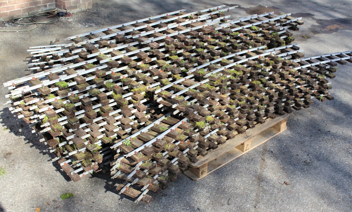 5 inch gauge track with six turnouts