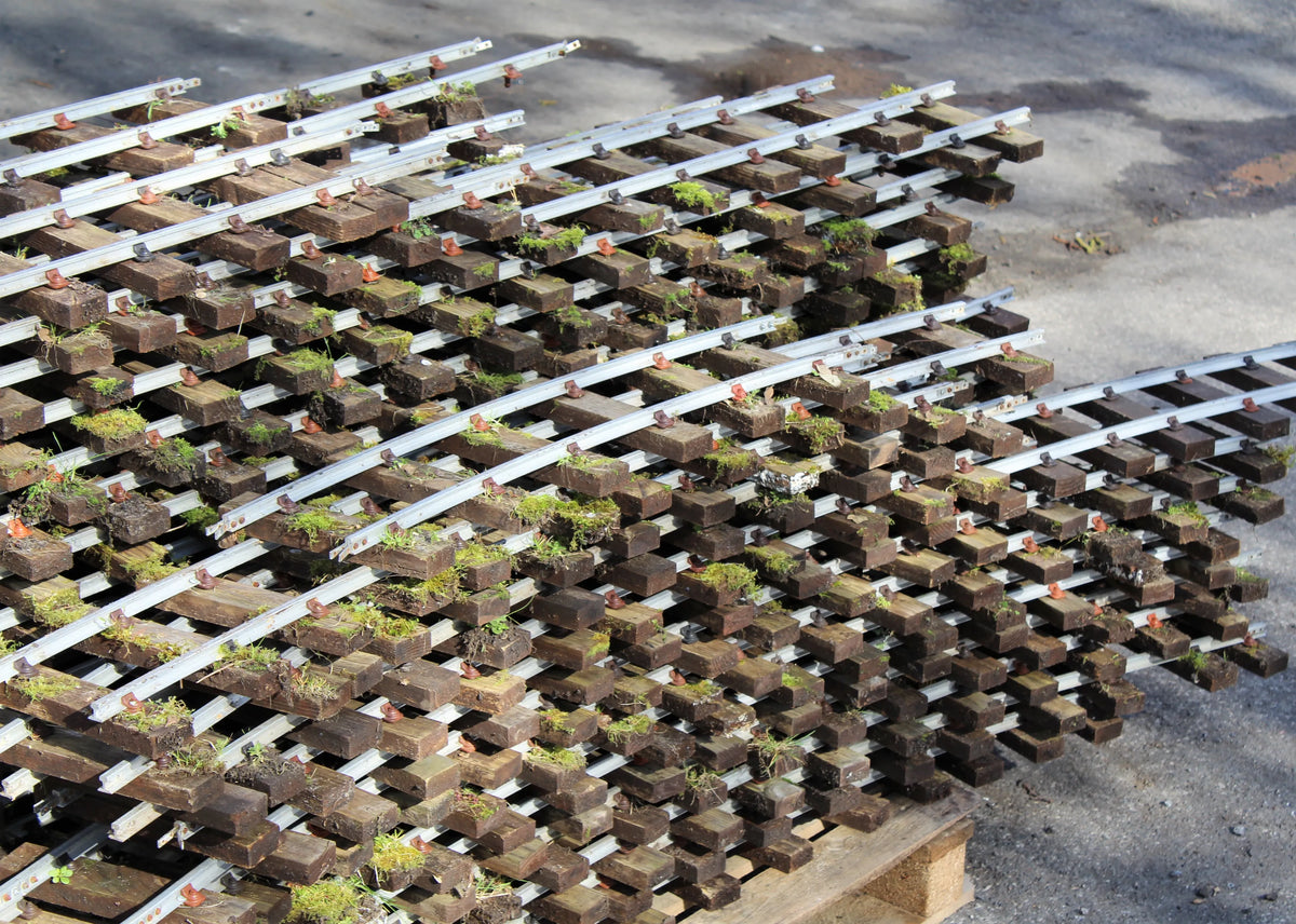 5 inch gauge track with six turnouts