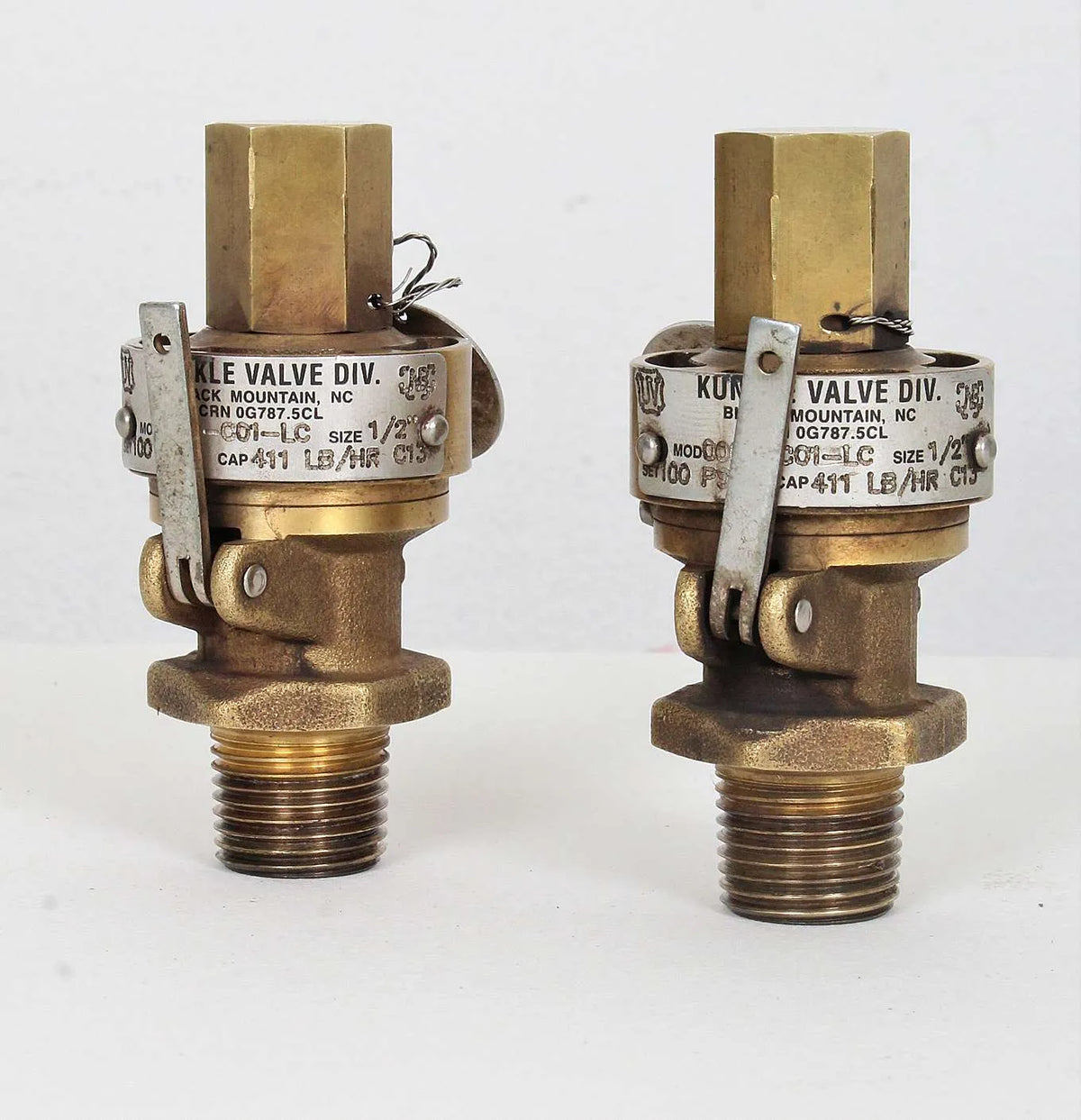 Pair 1/2 inch NPT Kunkle safety valves