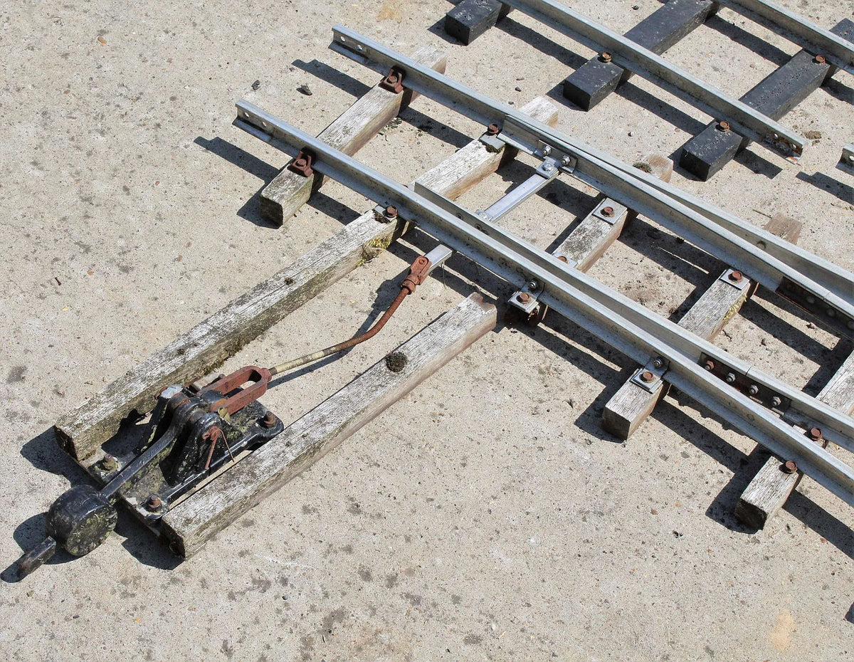 5 inch gauge track & turnout, 21mm rail