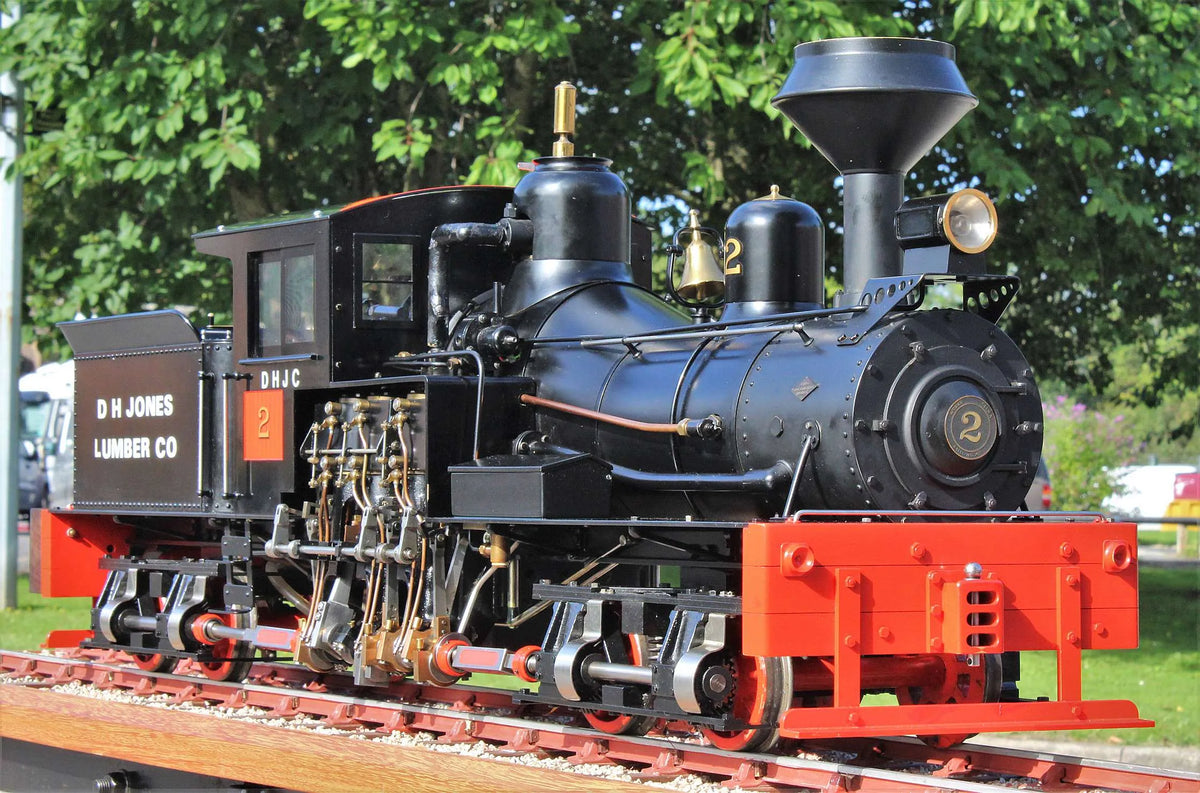 5 inch gauge Shay 0-4-0 + 0-4-0